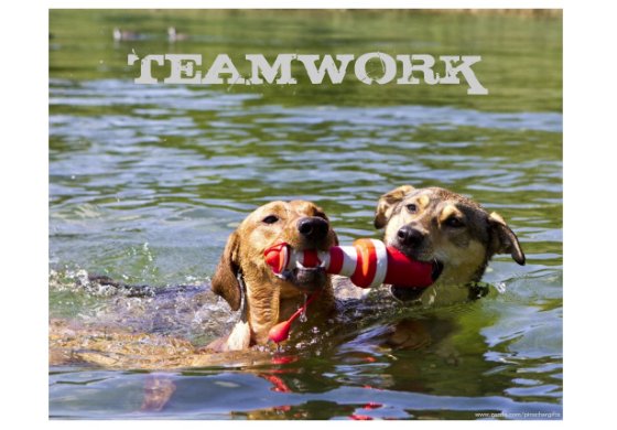 Broadly Speaking: Teamwork